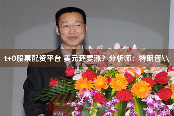 t+0股票配资平台 美元还要涨?分析师:特朗普\