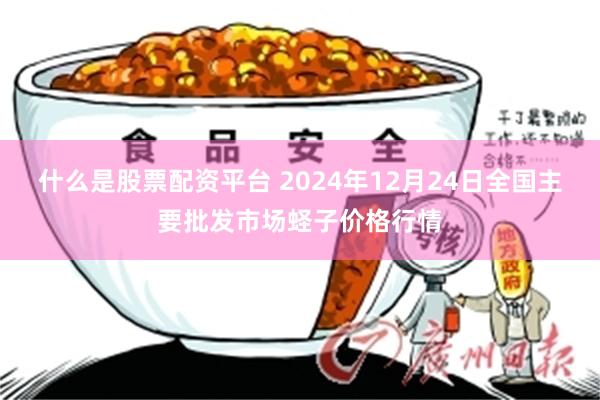 什么是股票配资平台 2024年12月24日全国主要批发市场蛏子价格行情