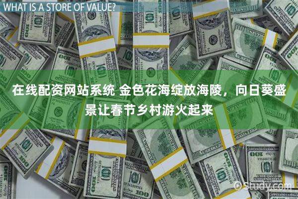 在线配资网站系统 金色花海绽放海陵，向日葵盛景让春节乡村游火起来