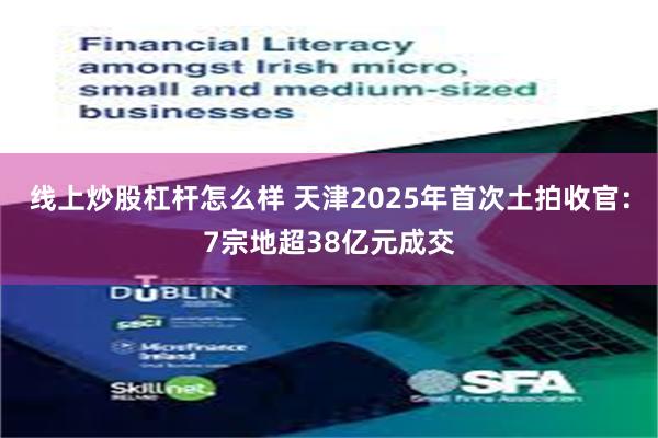 线上炒股杠杆怎么样 天津2025年首次土拍收官：7宗地超38亿元成交