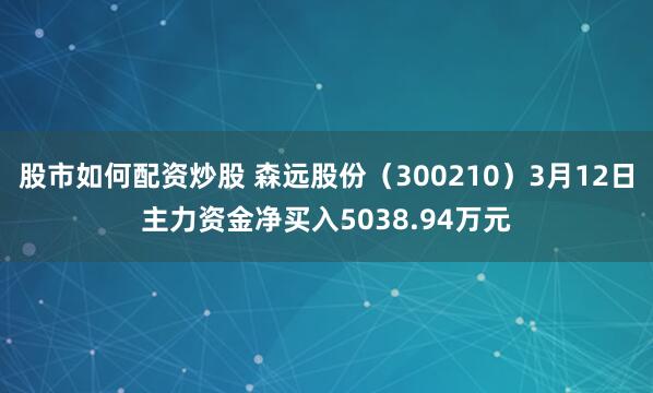股市如何配资炒股 森远股份（300210）3月12日主力资金净买入5038.94万元