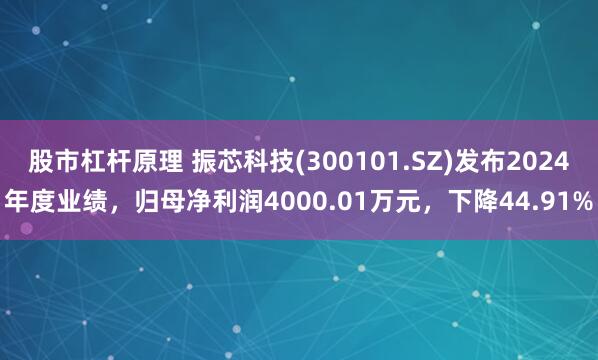 股市杠杆原理 振芯科技(300101.SZ)发布2024年度业绩，归母净利润4000.01万元，下降44.91%