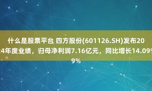 什么是股票平台 四方股份(601126.SH)发布2024年度业绩，归母净利润7.16亿元，同比增长14.09%