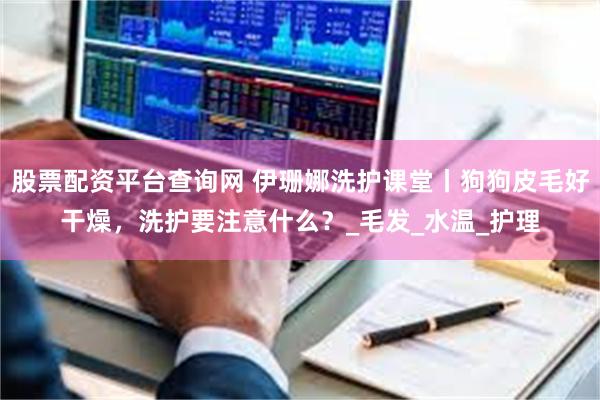 股票配资平台查询网 伊珊娜洗护课堂丨狗狗皮毛好干燥，洗护要注意什么？_毛发_水温_护理
