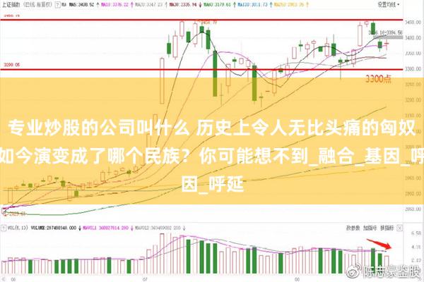 专业炒股的公司叫什么 历史上令人无比头痛的匈奴，如今演变成了哪个民族？你可能想不到_融合_基因_呼延