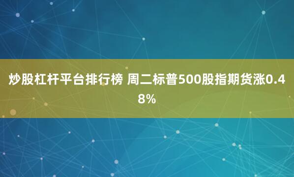 炒股杠杆平台排行榜 周二标普500股指期货涨0.48%