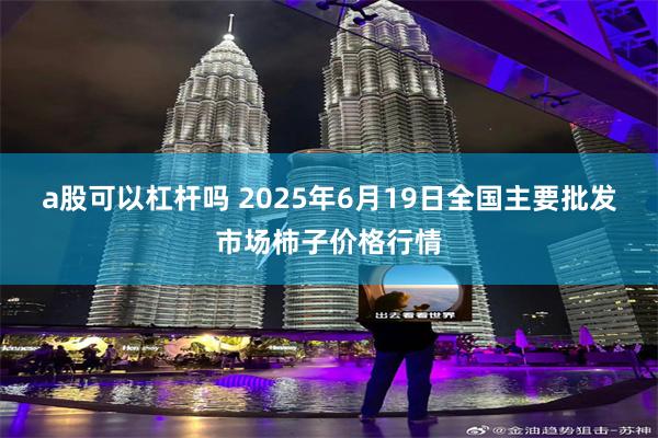 a股可以杠杆吗 2025年6月19日全国主要批发市场柿子价格行情