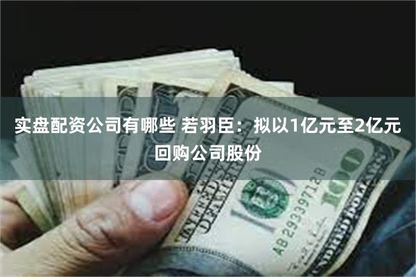 实盘配资公司有哪些 若羽臣：拟以1亿元至2亿元回购公司股份